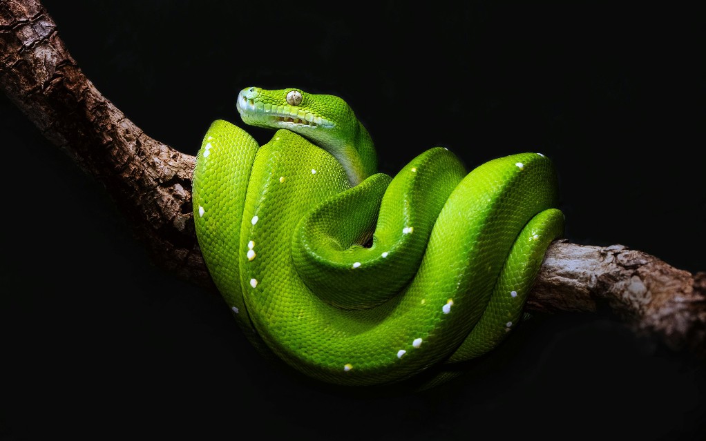 Pliki i wyjątki w Pythonie
